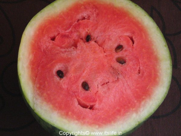 Watermelon | Watermelon Fruit