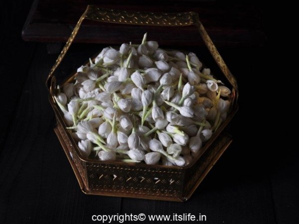 1_diy-cotton-jasmine-2