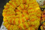 Marigold Garland