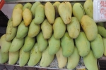 Australian Sweet Mango