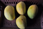 Badami Mango