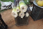 gon-bamboo-shoots-2