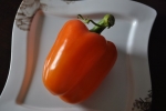 Bell Pepper