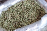 gon-cardamom-1