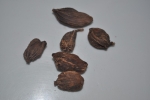 Black Cardamom