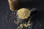 Dry Coriander Fruit