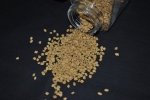 Fenugreek seeds