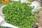 Green Chilies