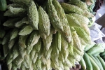 Karela