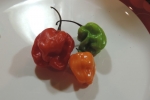 habanero