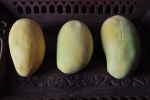 Kesar Mango