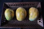 Neelam Mangoes