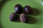 Nutmeg Seed