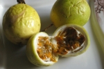 gon-passion-fruit1_0