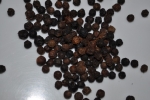 Peppercorn