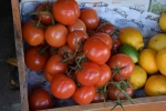 Vine Tomatoes