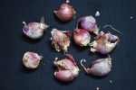 Shallots