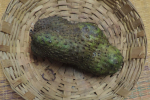 Soursop Fruit