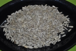 Sunflower Seeds