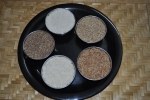 Types of Rice