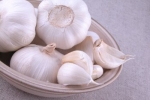 goodnessofnature-garlic1