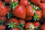 goodnessofnature-strawberries1