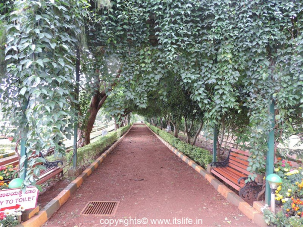 Botanical Garden at Lingambudhi Lake Mysuru