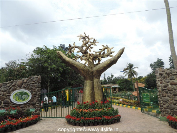 Botanical Garden at Lingambudhi Lake Mysuru