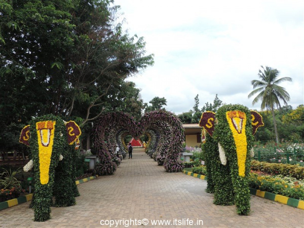 Botanical Garden at Lingambudhi Lake Mysuru