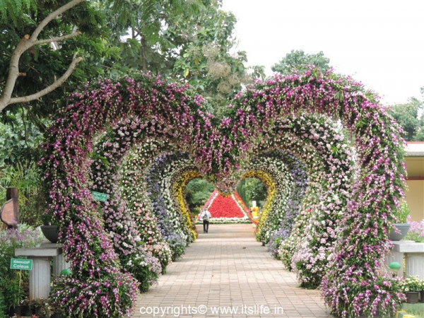 Botanical Garden at Lingambudhi Lake Mysuru