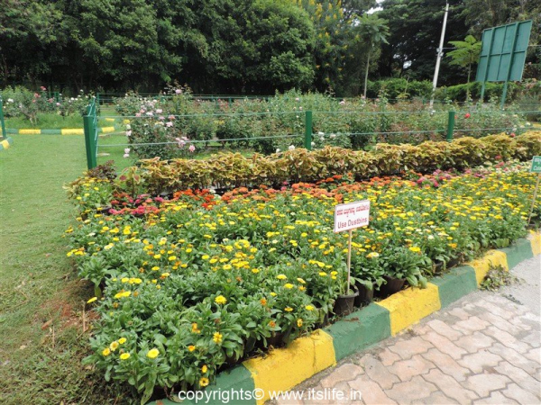 Botanical Garden at Lingambudhi Lake Mysuru