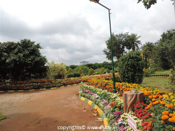 Botanical Garden at Lingambudhi Lake Mysuru