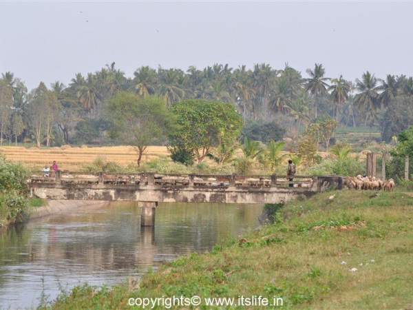 travel-mysuru-gonde-hosahalli-3