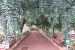 Botanical Garden at Lingambudhi Lake Mysuru