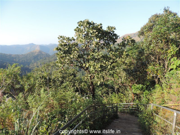 Mallalli Waterfalls