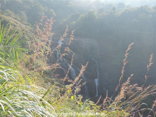 Mallalli Waterfalls