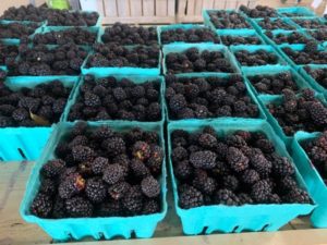 Blackberry