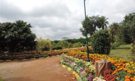 Botanical Garden Lingambudhi Lake Mysuru