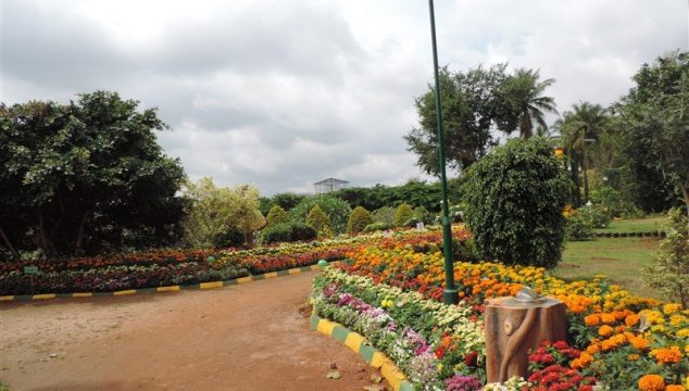 Botanical Garden Lingambudhi Lake Mysuru